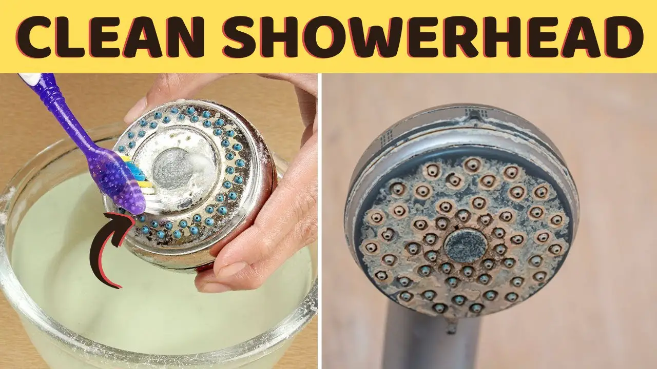 How to Clean Shower Head