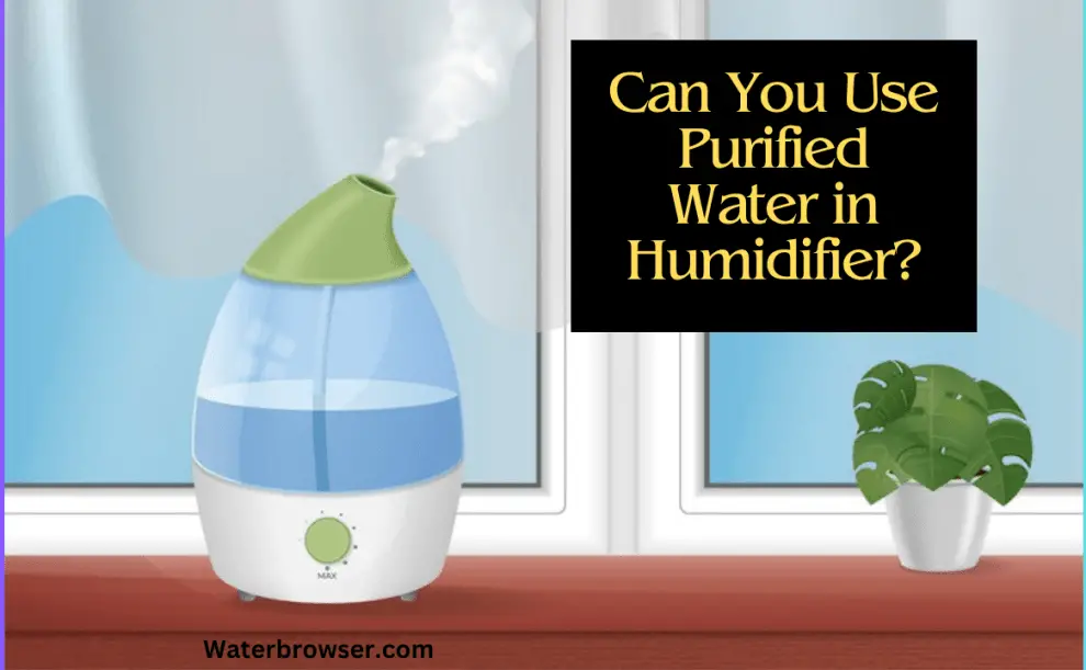 Can You Use Purified Water in Humidifier? Water Browser