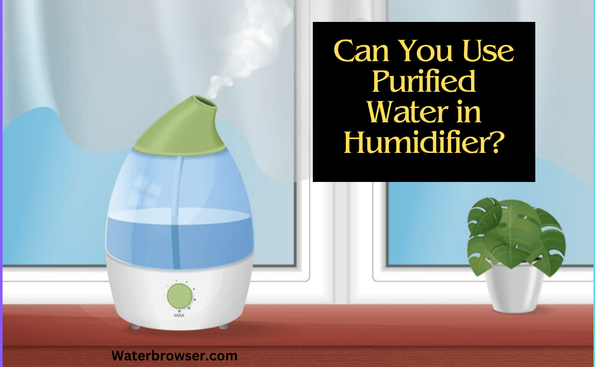Can You Use Purified Water in Humidifier
